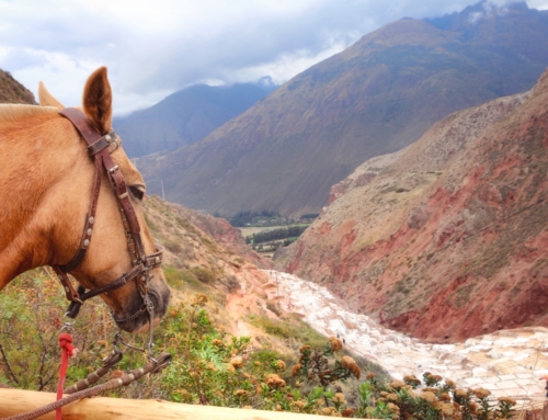 Hacienda Del Chalan: The Ultimate Tour For Horseback Riding Through The Sacred Valley